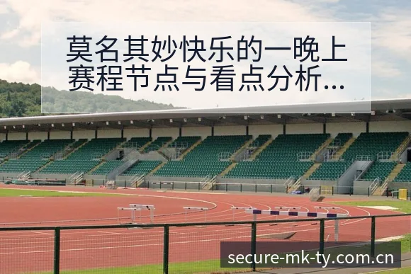 莫名其妙快乐的一晚上赛程节点与看点分析数据对比视角解读 - mk体育