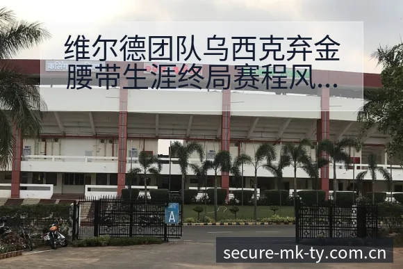 维尔德团队乌西克弃金腰带生涯终局赛程风险观察与节点分析 - mk体育