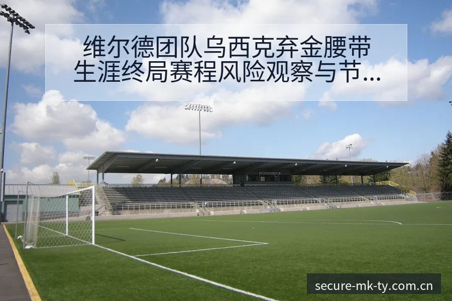 维尔德团队乌西克弃金腰带生涯终局赛程风险观察与节点分析 - mk体育